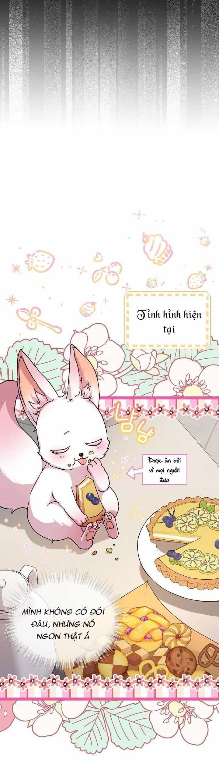 Tôi Đã Tái Sinh Thành Bé Cáo Của Thần - Chương 8 - ảnh 10