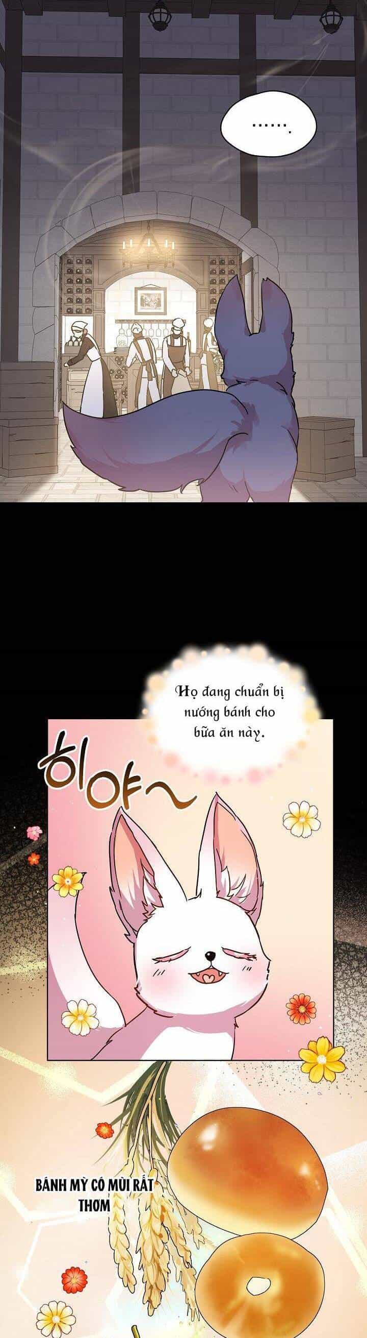 Tôi Đã Tái Sinh Thành Bé Cáo Của Thần - Chương 8 - ảnh 6