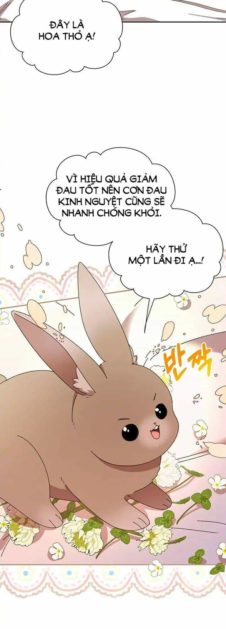 Tôi Đã Vô Tình Quyến Rũ Em Trai Của Nam Chính - Chương 12 - ảnh 58