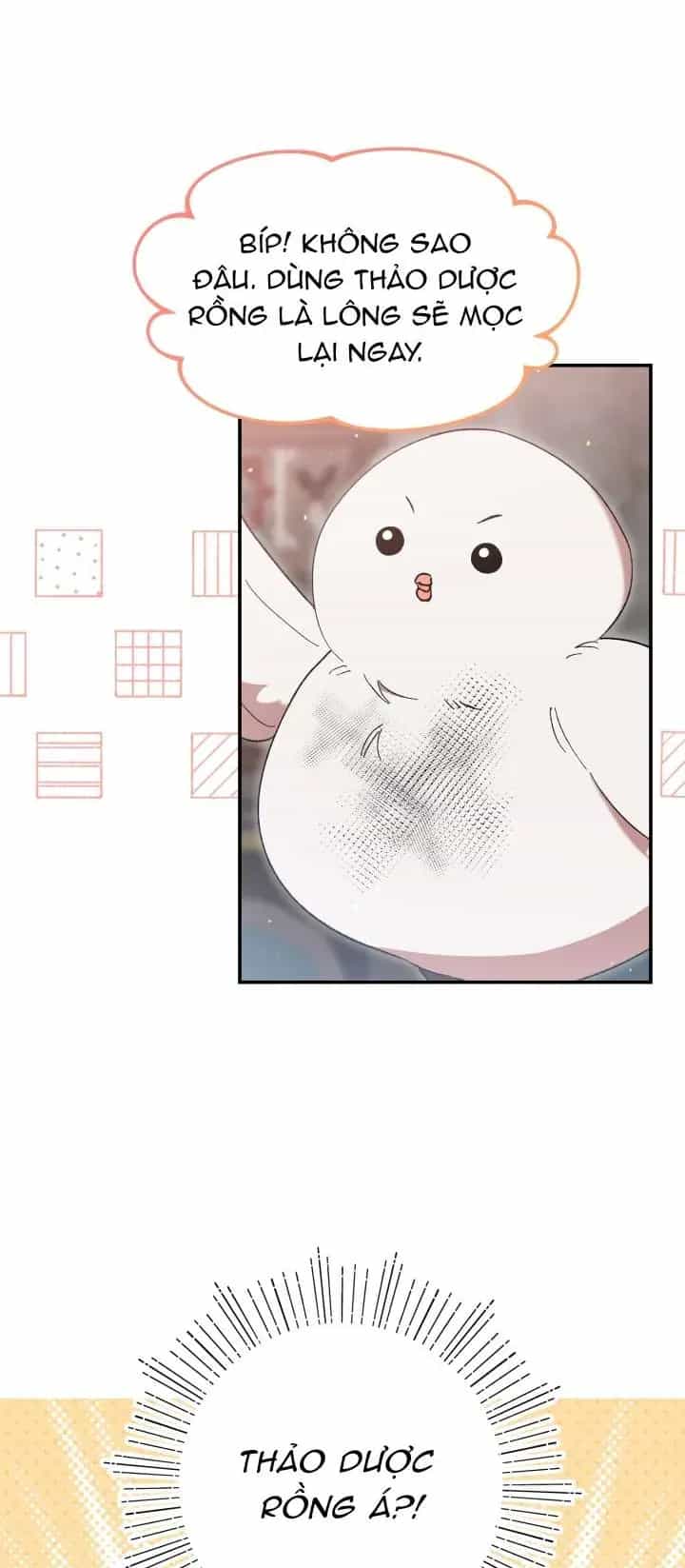 Tôi Đã Vô Tình Quyến Rũ Em Trai Của Nam Chính - Chương 44 - ảnh 31