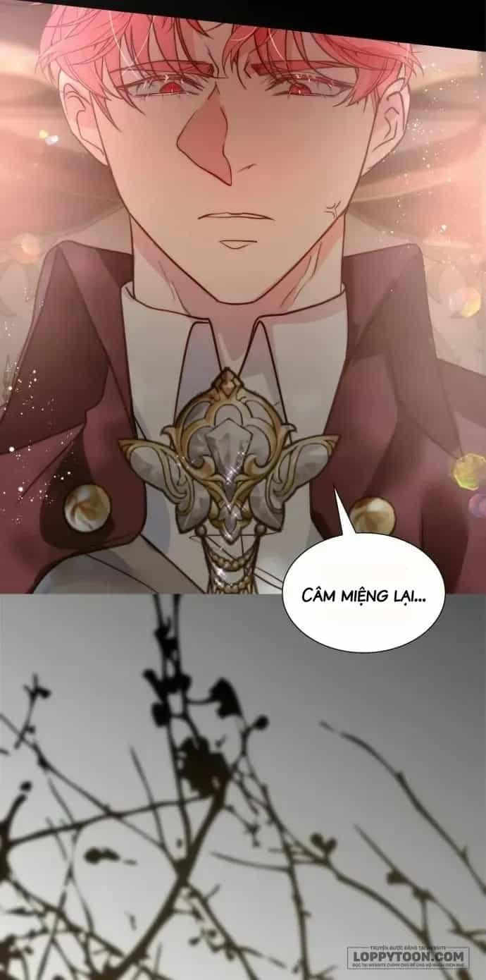 Tôi Được Sinh Ra Là Con Gái Thứ Hai - Chương 84 - ảnh 44