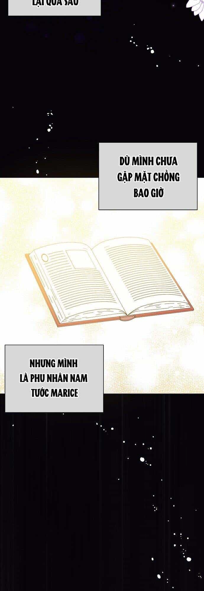 Tôi Không Cố Ý Quyến Rũ Nam Chính Đâu! - Chương 13 - ảnh 18