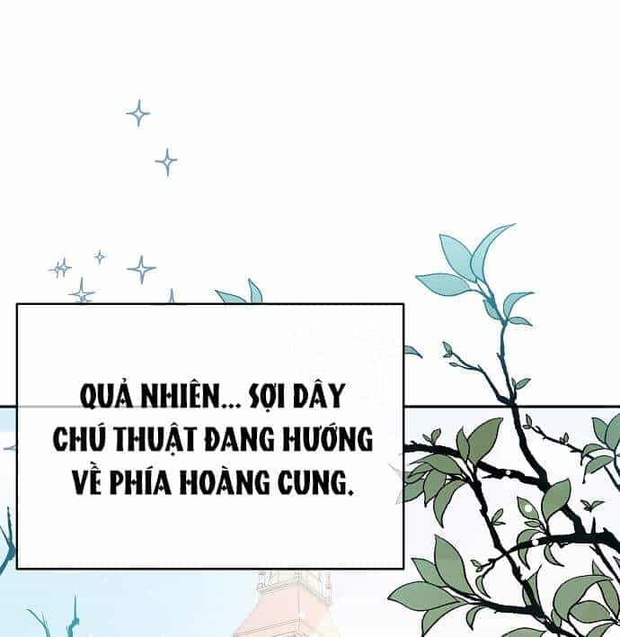 Tôi Không Cố Ý Quyến Rũ Nam Chính Đâu! - Chương 28 - ảnh 40