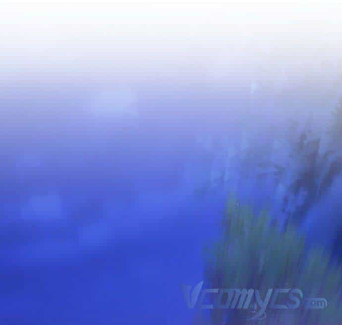 Tôi Không Cố Ý Quyến Rũ Nam Chính Đâu! - Chương 72 - ảnh 16