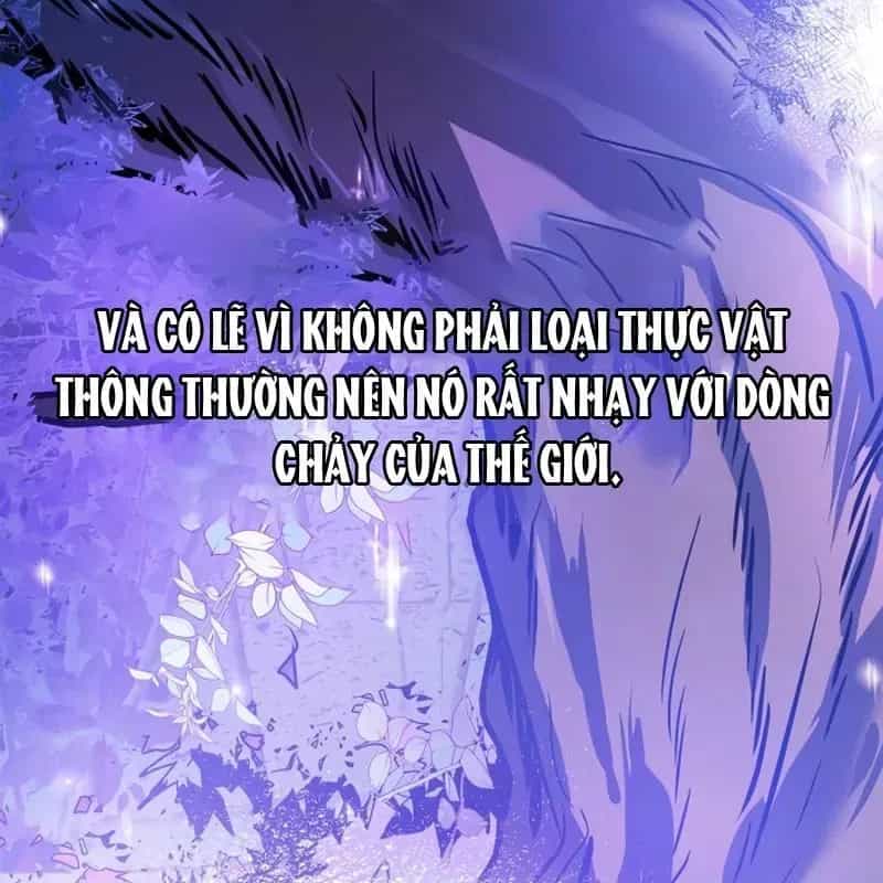 Tôi Không Tài Năng Đến Thế Đâu - Chương 110 - ảnh 182