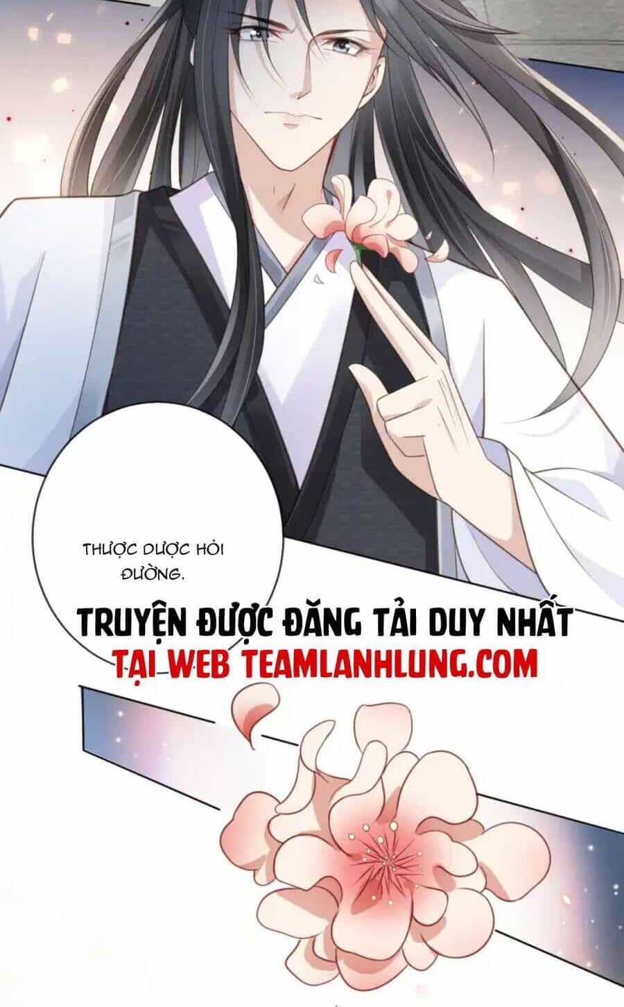 Tôi Là Đệ Nhất Hắc Nguyệt Quang Của Tu Chân Giới - Chương 15 - ảnh 24
