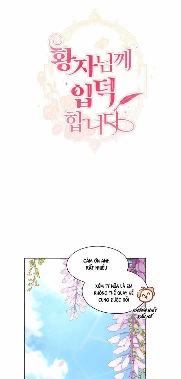 Tôi Là Fan Cứng Của Hoàng Tử - Chương 31 - ảnh 20