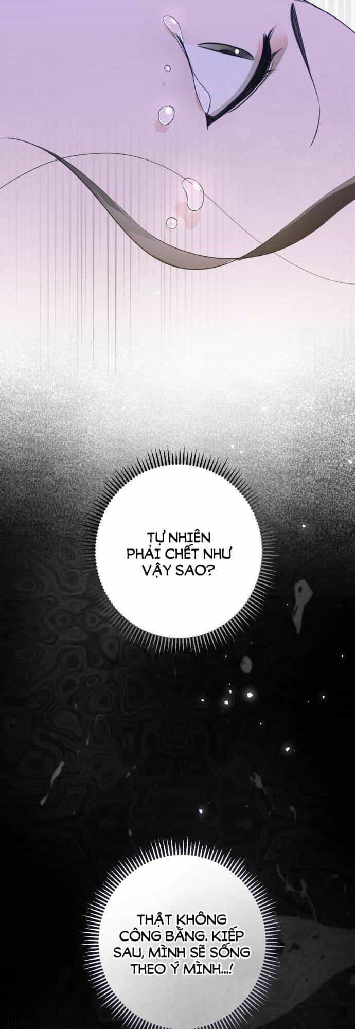 Tôi Là Một Nhân Vật Phản Diện, Nhưng Chồng Tôi Thật Đẹp Trai - Chương 1 - ảnh 33