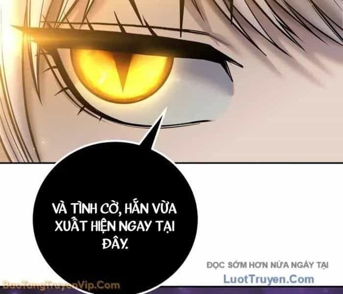 Tôi Mạnh Hơn Anh Hùng - Chương 94 - ảnh 244