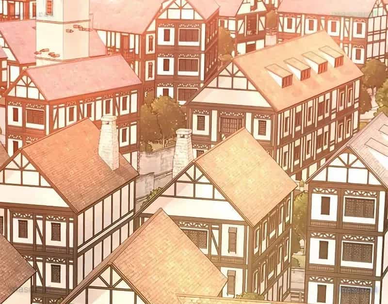 Tôi May Mắn Triệu Hồi Được Tinh Linh Hộ Vệ Hạng 10 - Chương 13 - ảnh 27