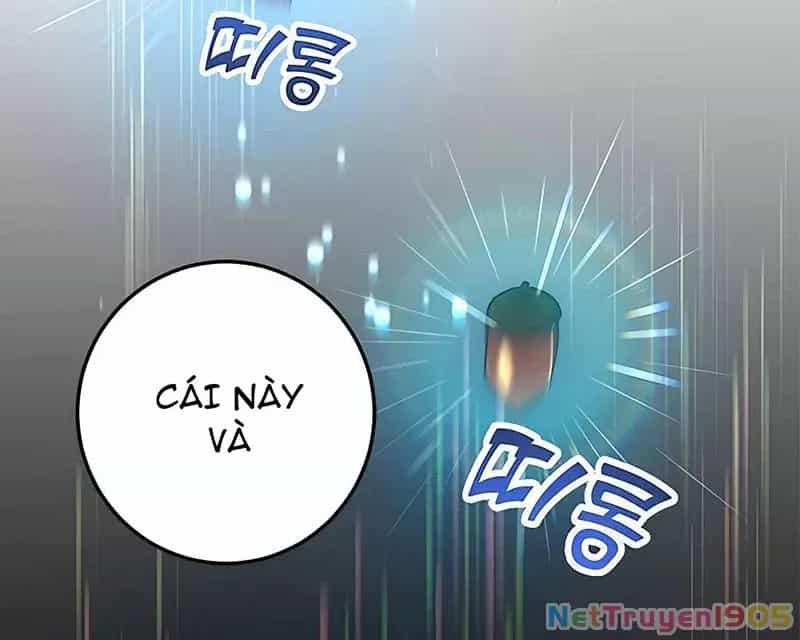 Tôi May Mắn Triệu Hồi Được Tinh Linh Hộ Vệ Hạng 10 - Chương 15 - ảnh 38