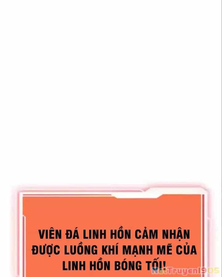 Tôi May Mắn Triệu Hồi Được Tinh Linh Hộ Vệ Hạng 10 - Chương 24 - ảnh 26