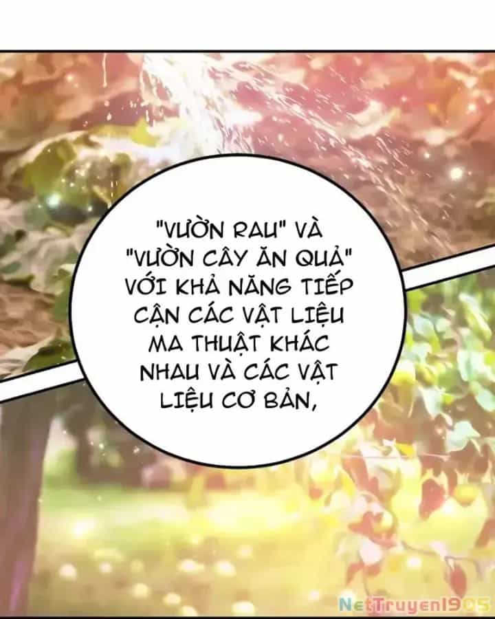 Tôi May Mắn Triệu Hồi Được Tinh Linh Hộ Vệ Hạng 10 - Chương 25 - ảnh 49