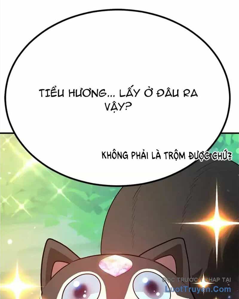 Tôi May Mắn Triệu Hồi Được Tinh Linh Hộ Vệ Hạng 10 - Chương 29 - ảnh 15