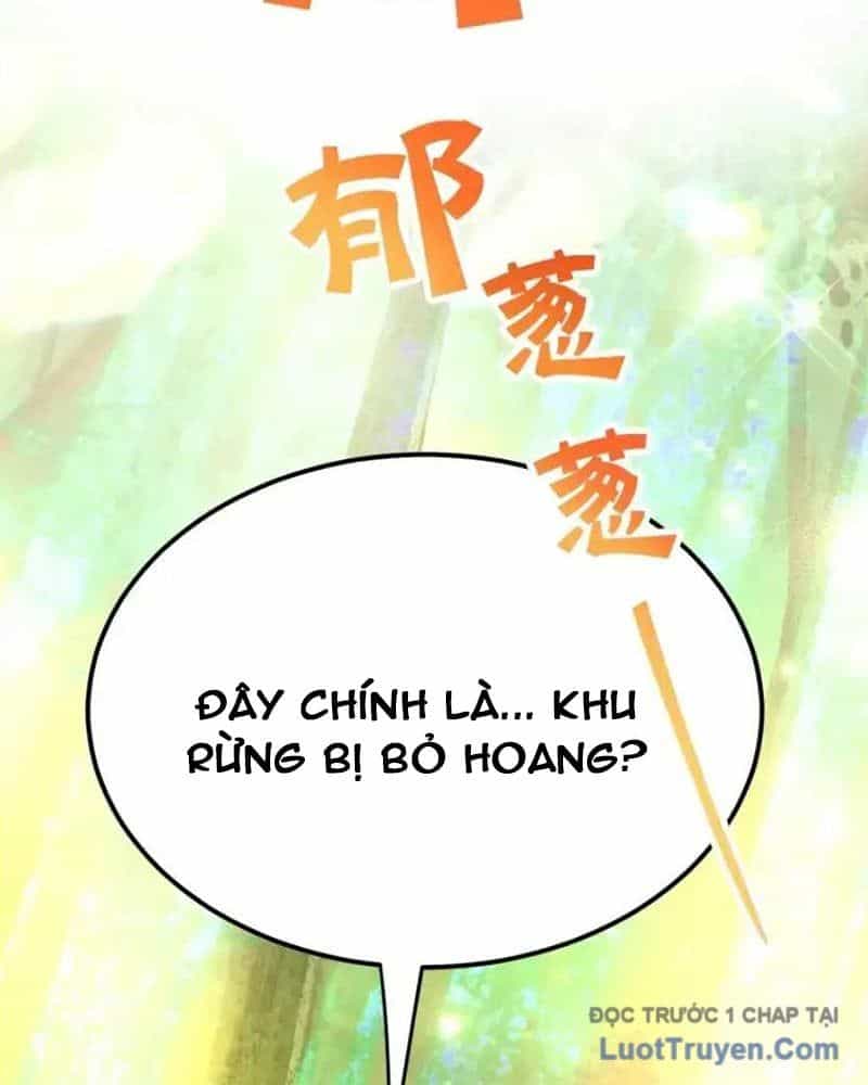Tôi May Mắn Triệu Hồi Được Tinh Linh Hộ Vệ Hạng 10 - Chương 35 - ảnh 5