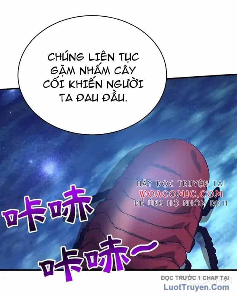 Tôi May Mắn Triệu Hồi Được Tinh Linh Hộ Vệ Hạng 10 - Chương 36 - ảnh 26