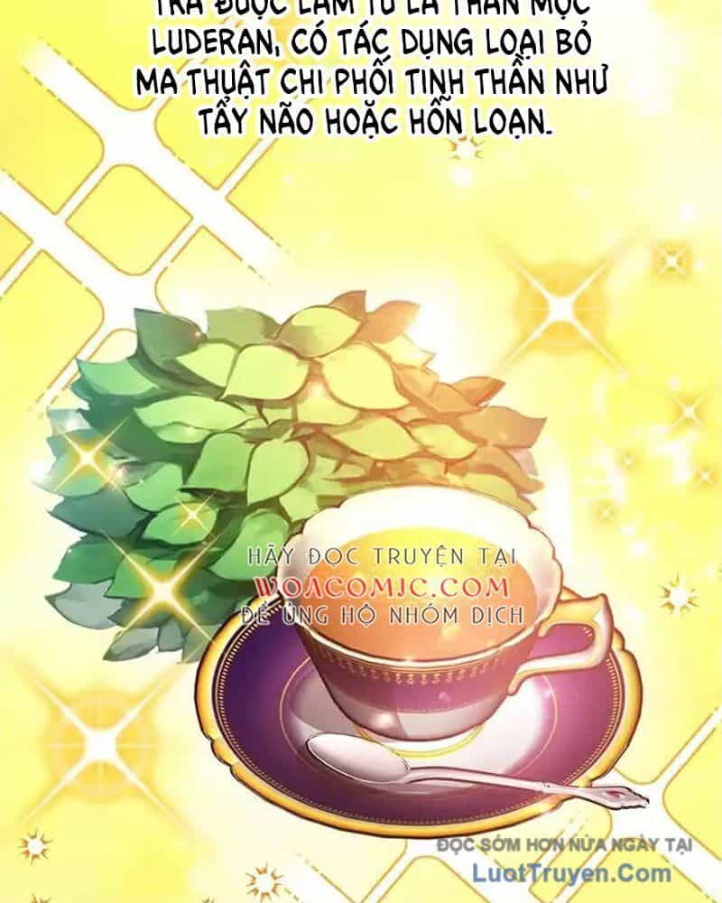 Tôi May Mắn Triệu Hồi Được Tinh Linh Hộ Vệ Hạng 10 - Chương 38 - ảnh 18