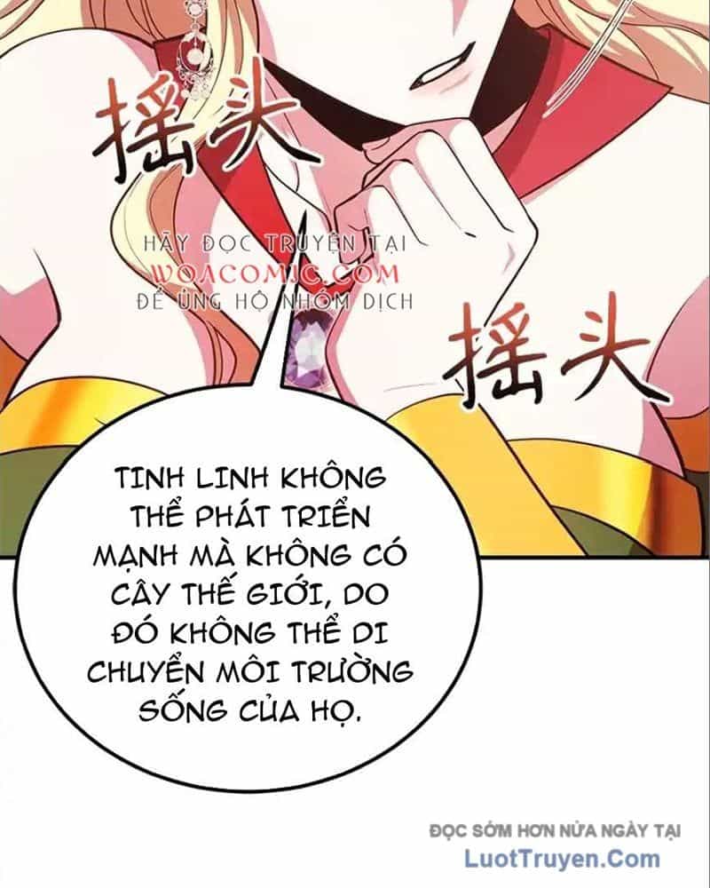 Tôi May Mắn Triệu Hồi Được Tinh Linh Hộ Vệ Hạng 10 - Chương 41 - ảnh 49