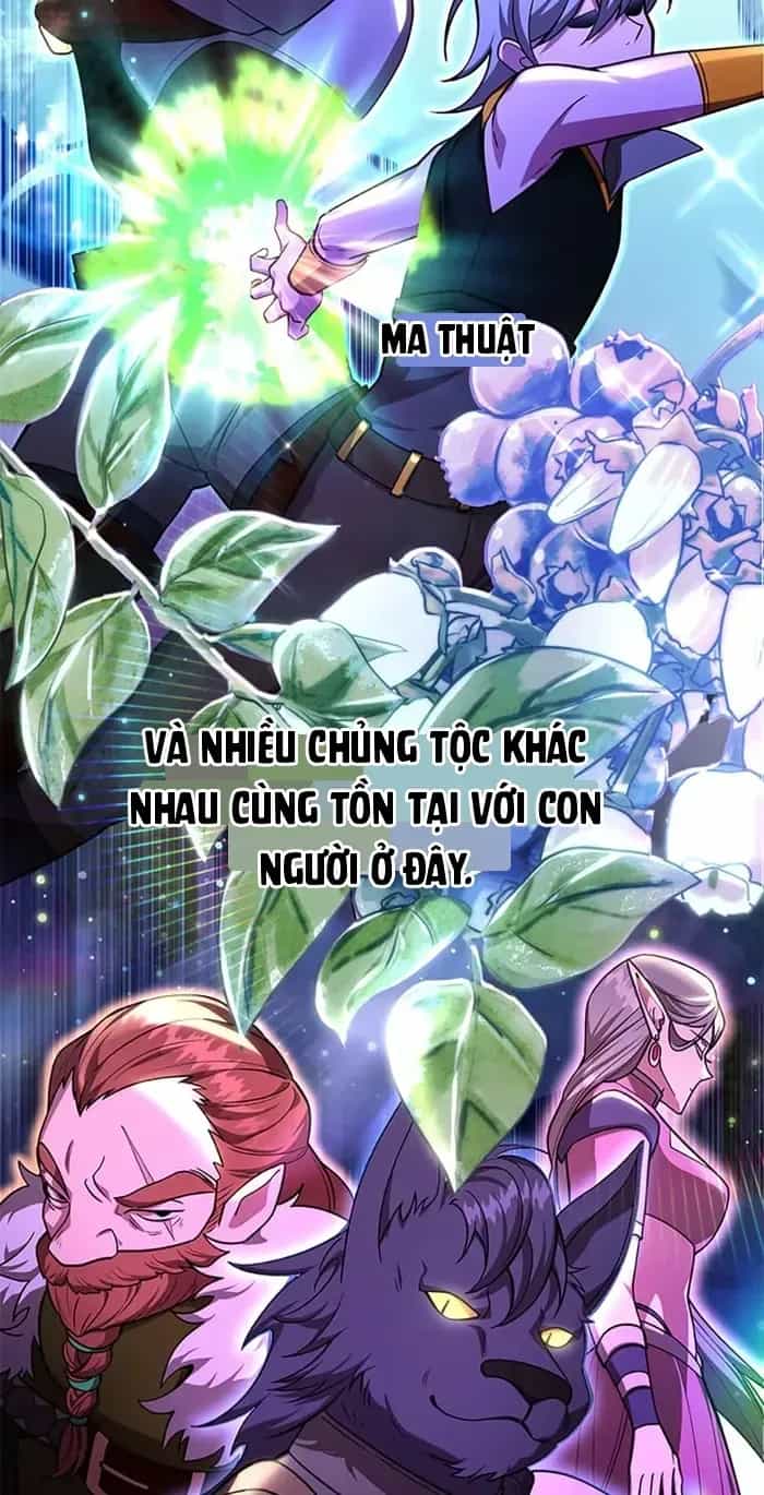 Tôi May Mắn Triệu Hồi Được Tinh Linh Hộ Vệ Hạng 10 - Chương 52 - ảnh 2