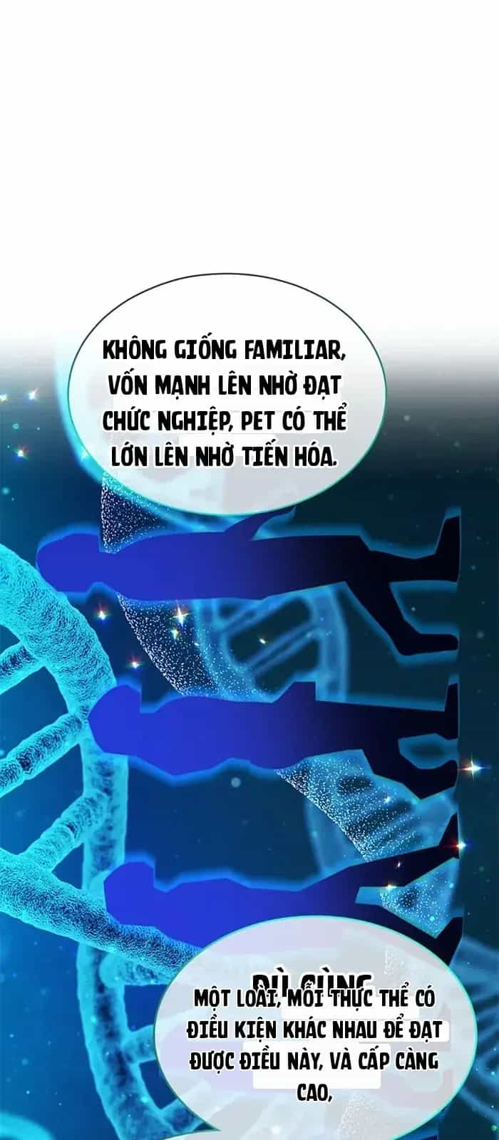 Tôi May Mắn Triệu Hồi Được Tinh Linh Hộ Vệ Hạng 10 - Chương 64 - ảnh 24