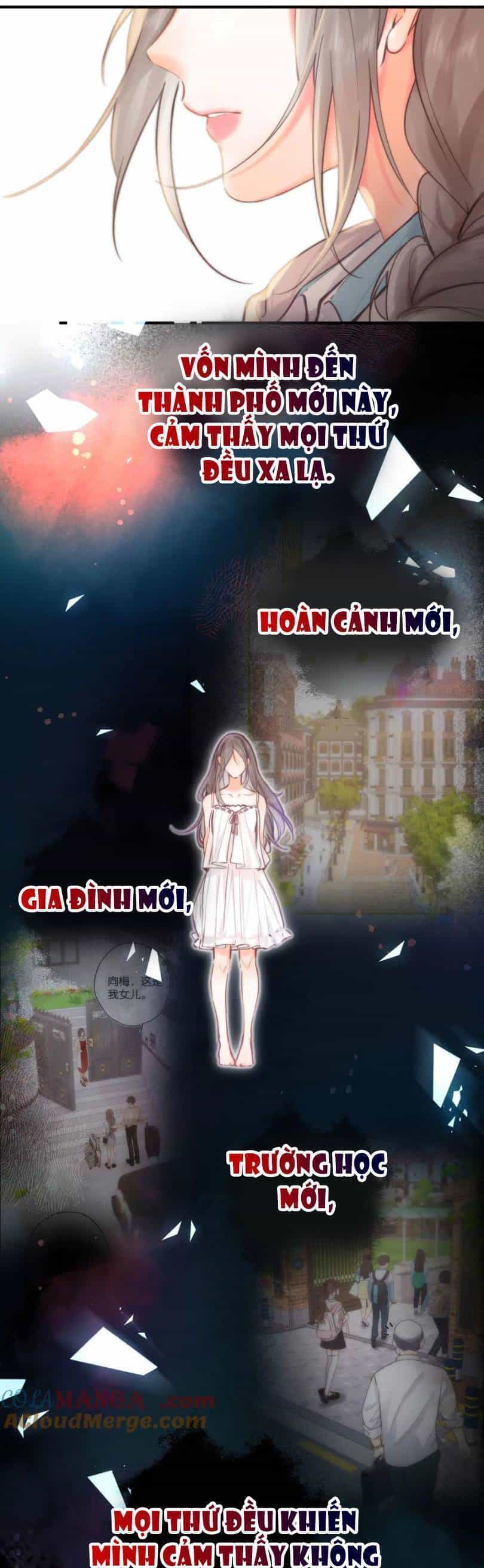 Tôi Mộng Giữa Ban Ngày - Chương 62 - ảnh 7