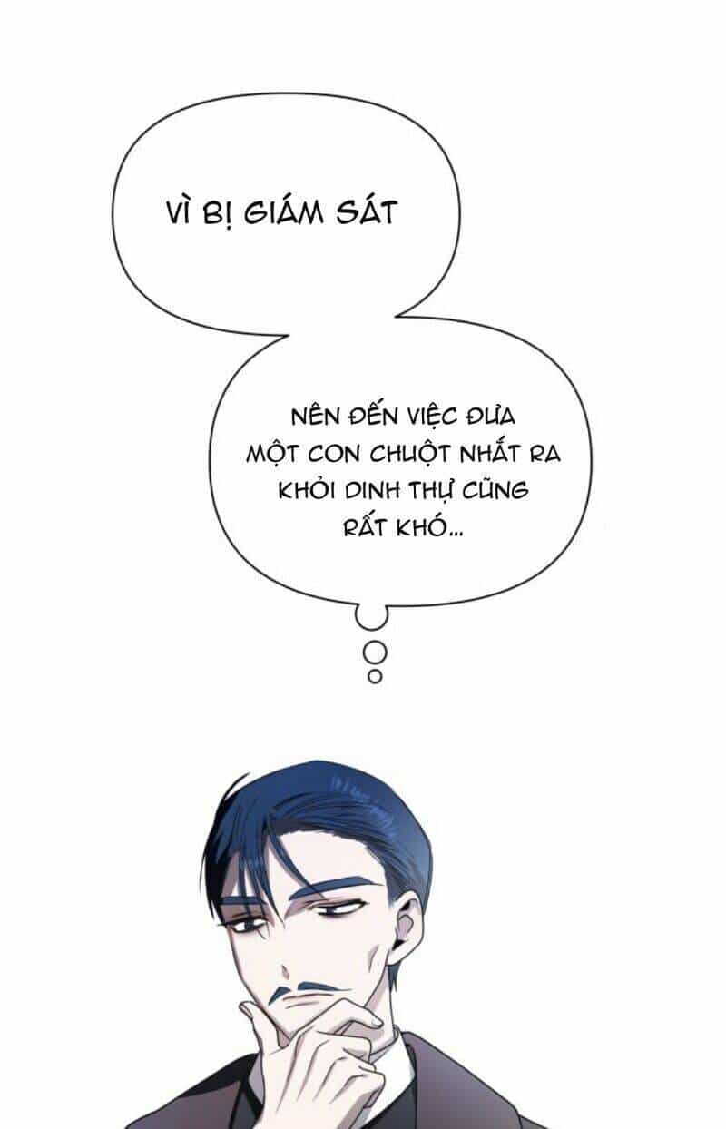 Tôi Muốn Trở Thành Cô Ấy Chỉ Một Ngày - Chương 68 - ảnh 19