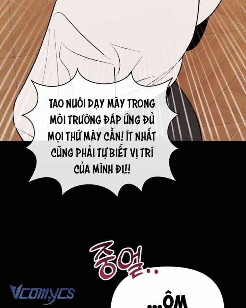 Tối Nay Tôi Là Người Được Cô Ấy Chọn - Chương 2 - ảnh 92