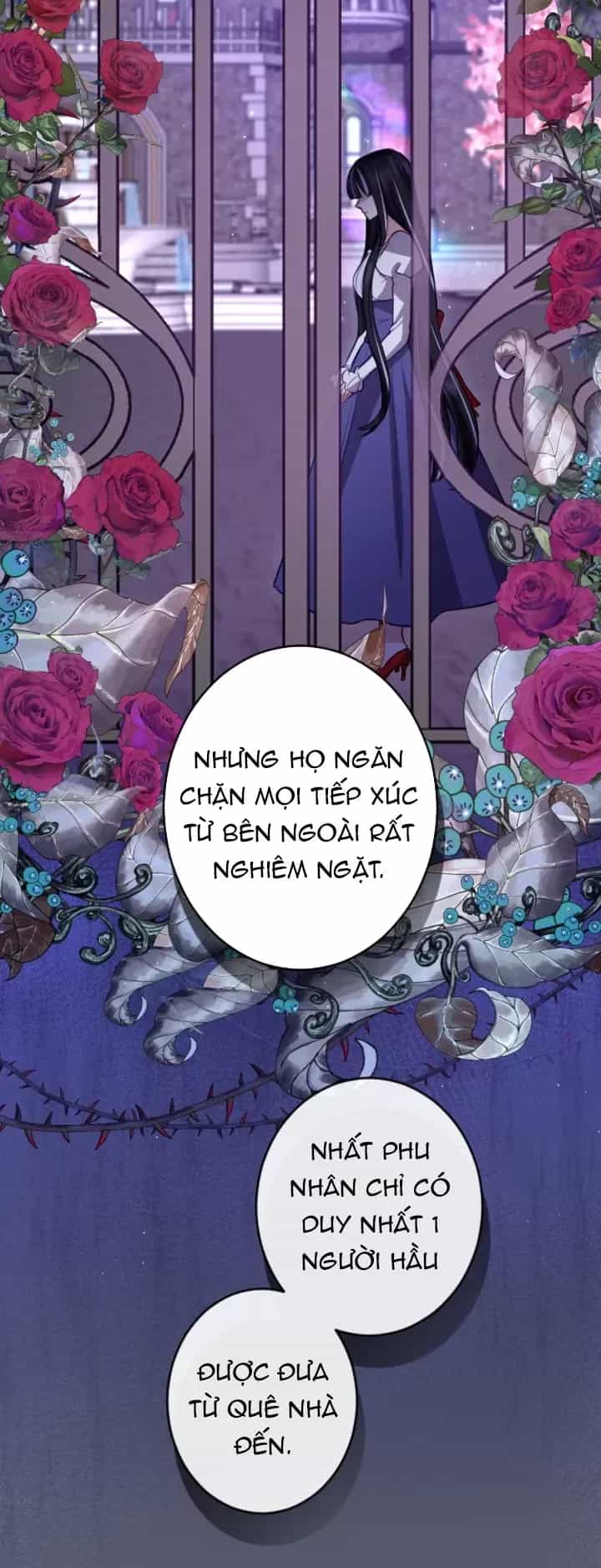 Tôi Sẽ Bị Trừ Khử Cùng Hoàng Đế - Chương 113 - ảnh 11
