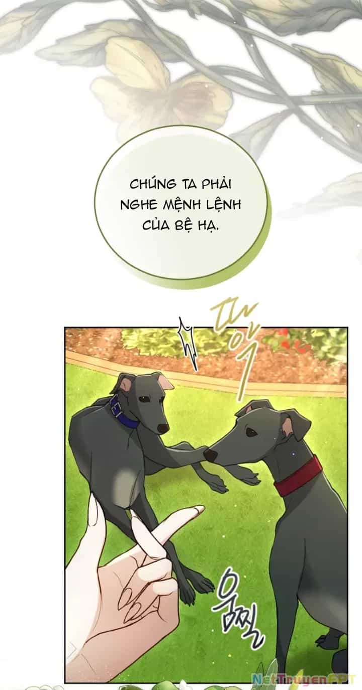 Tôi Sẽ Bị Trừ Khử Cùng Hoàng Đế - Chương 121 - ảnh 30