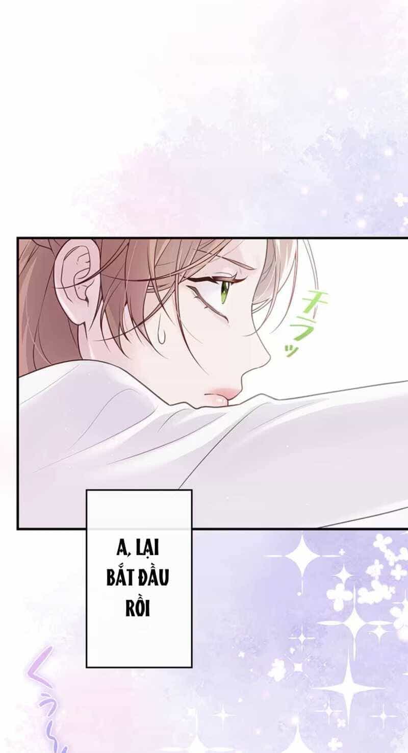 Tôi Sẽ Biến Anh Ta Từ Một Con Chó Điên Thành Một Chàng Quý Tộc - Chương 1.1 - ảnh 17