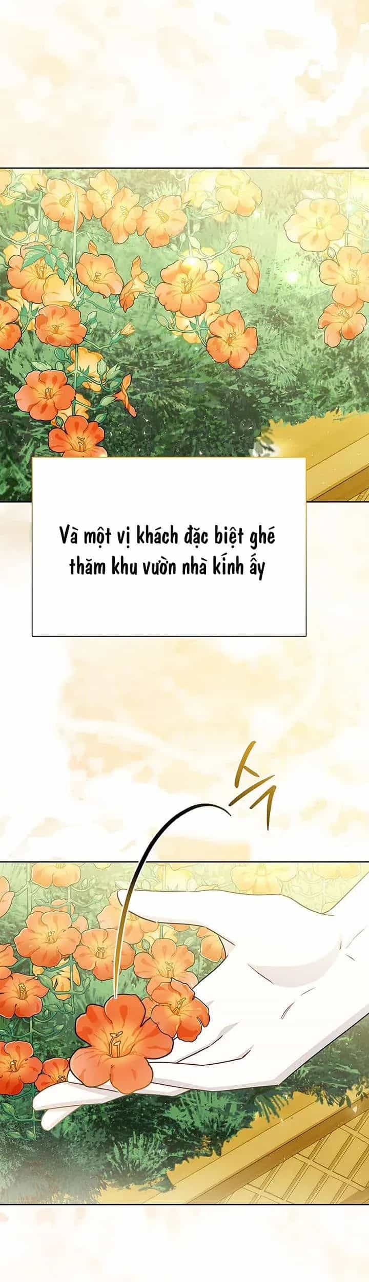 Tôi Sẽ Không Hối Tiếc Vì Anh Đâu - Chương 140 - ảnh 11