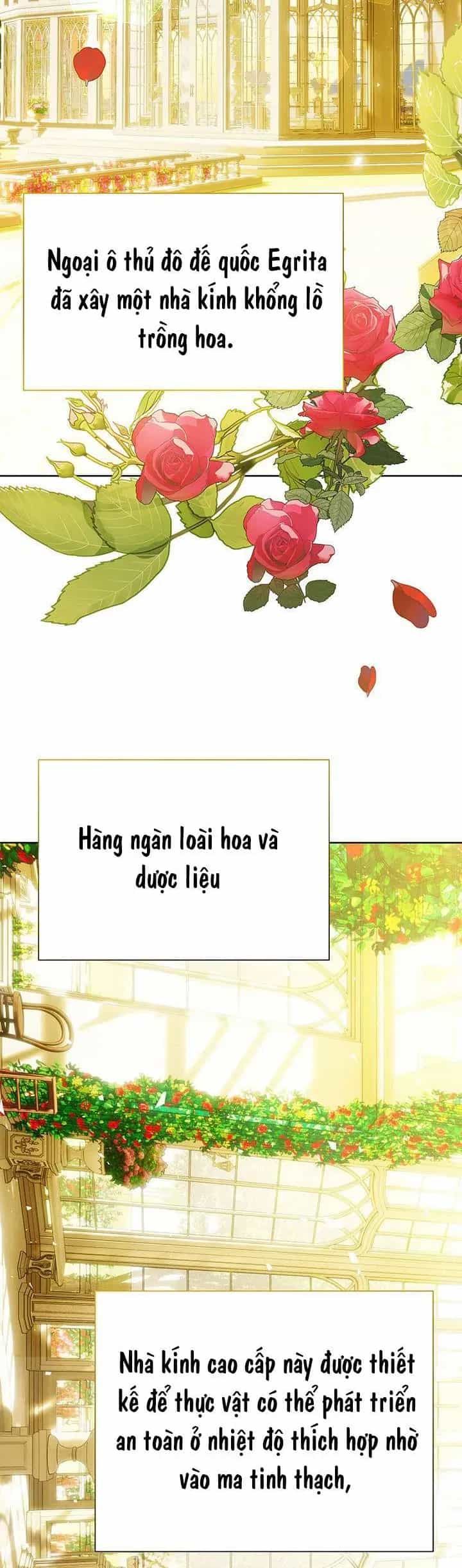 Tôi Sẽ Không Hối Tiếc Vì Anh Đâu - Chương 140 - ảnh 9
