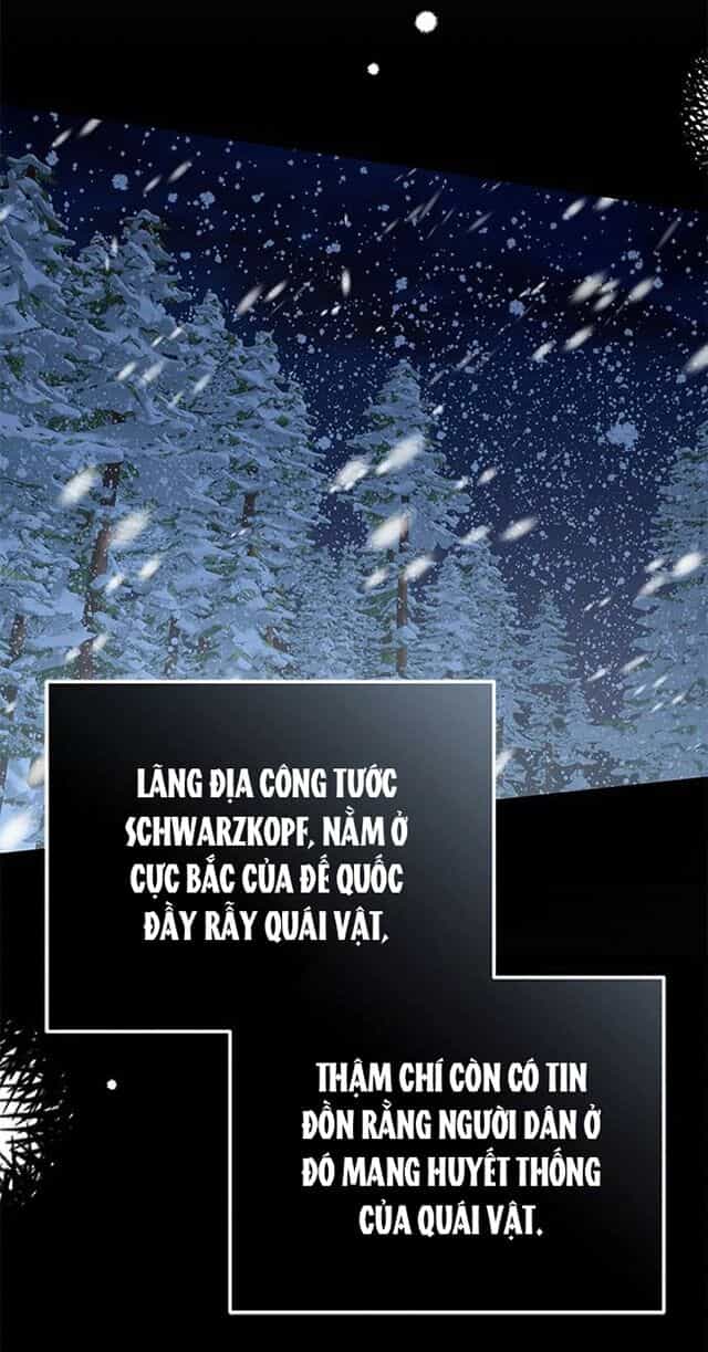 Tôi Sẽ Ly Hôn Với Người Chồng Bạo Chúa Của Mình - Chương 45.1 - ảnh 21