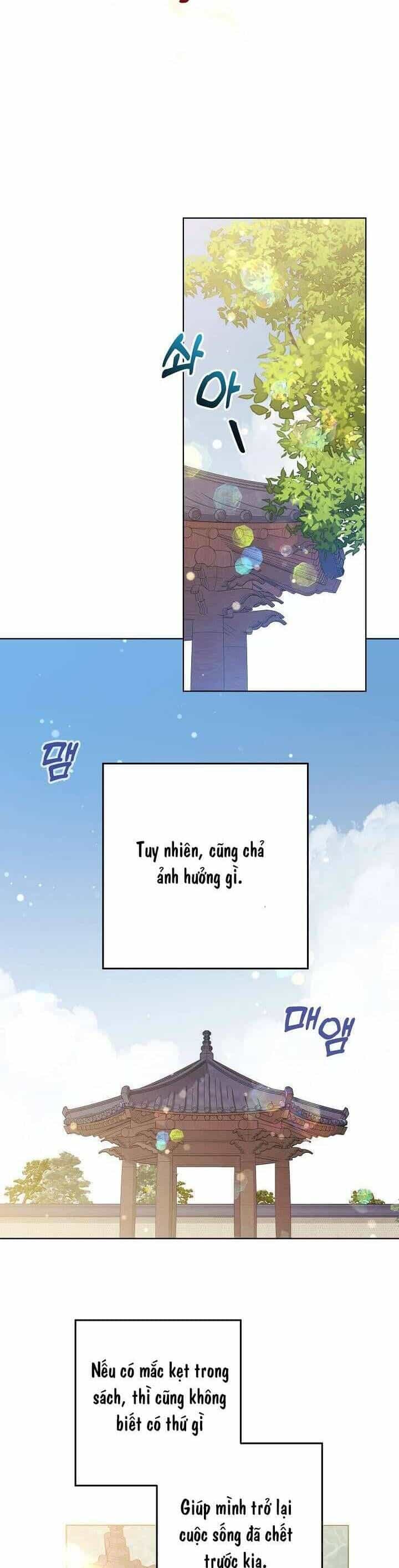 Tôi Sinh Ra Là Con Gái Của Một Thứ Phi Thấp Hèn - Chương 23 - ảnh 21