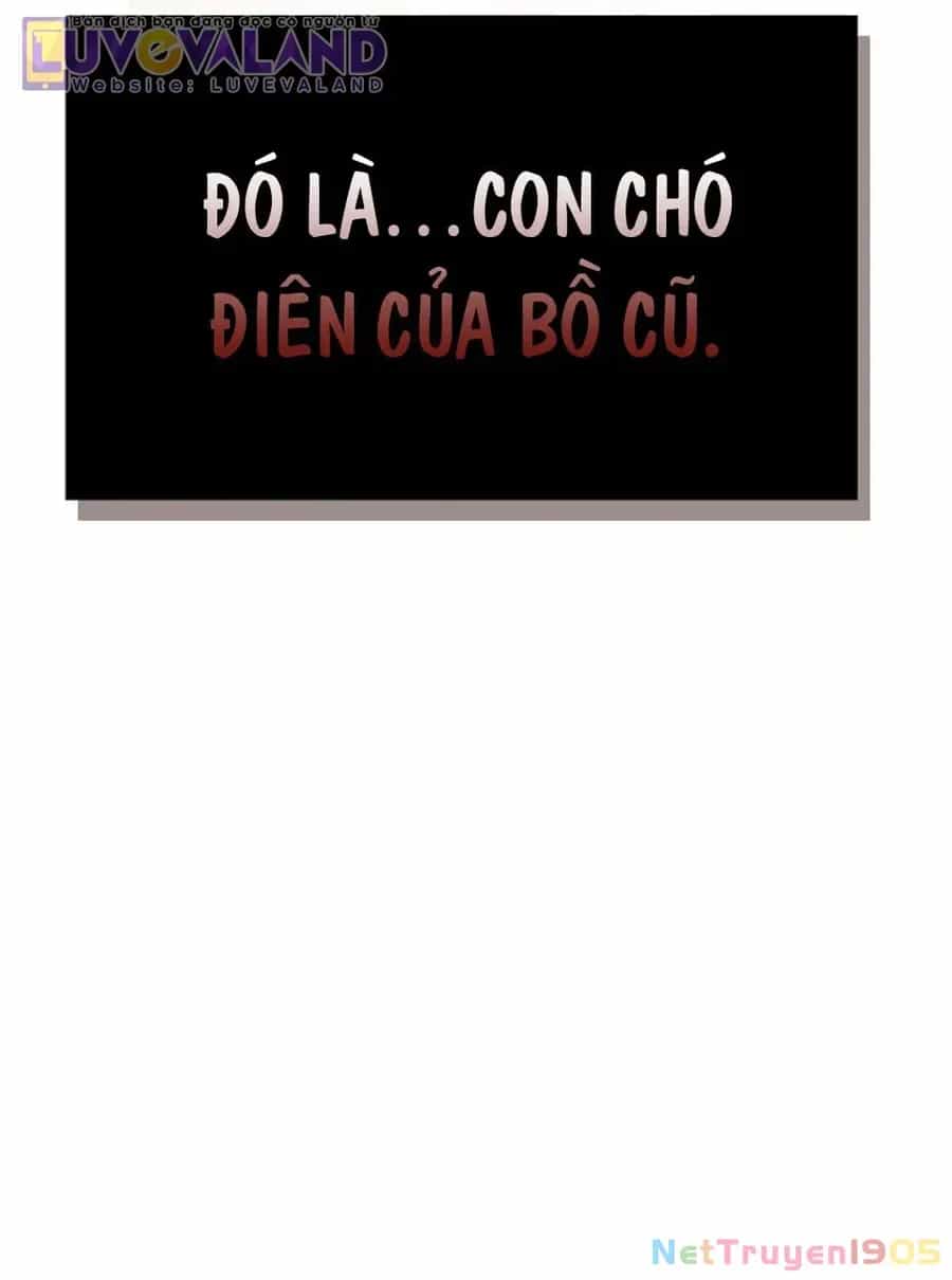 Tôi Thuần Hóa Chó Điên Của Chồng Cũ - Chương 108 - ảnh 72