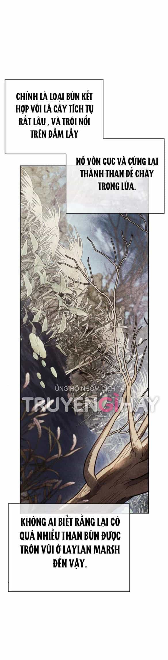 Tôi Thuần Hóa Chó Điên Của Chồng Cũ - Chương 11.2 - ảnh 25