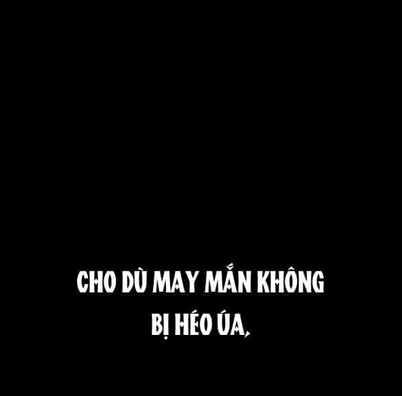 Tôi Thuần Hóa Chó Điên Của Chồng Cũ - Chương 42.1 - ảnh 17