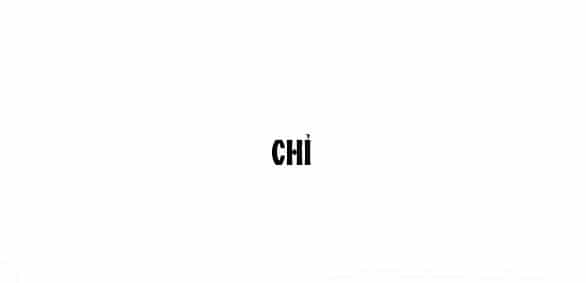 Tôi Thuần Hóa Chó Điên Của Chồng Cũ - Chương 42.2 - ảnh 37