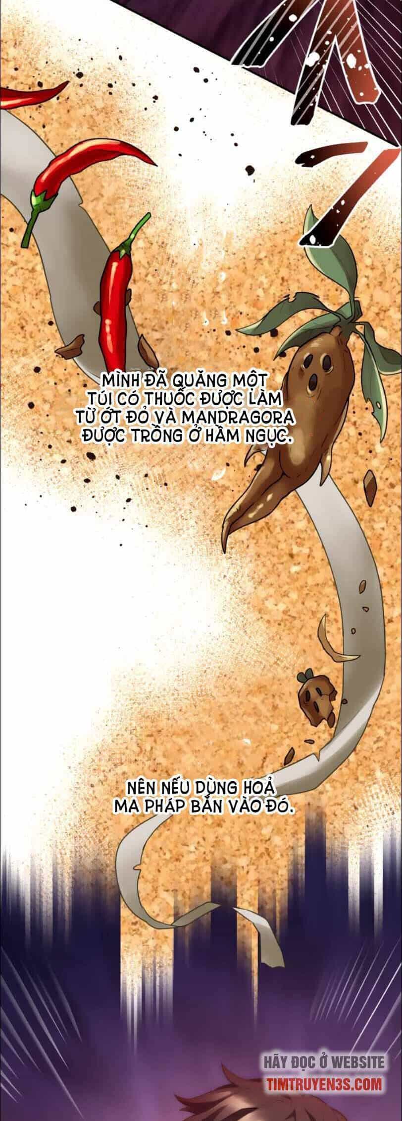Tôi Trở Thành Thợ Săn Rank S Bằng Hệ Thống Quỷ Vương - Chương 22 - ảnh 36