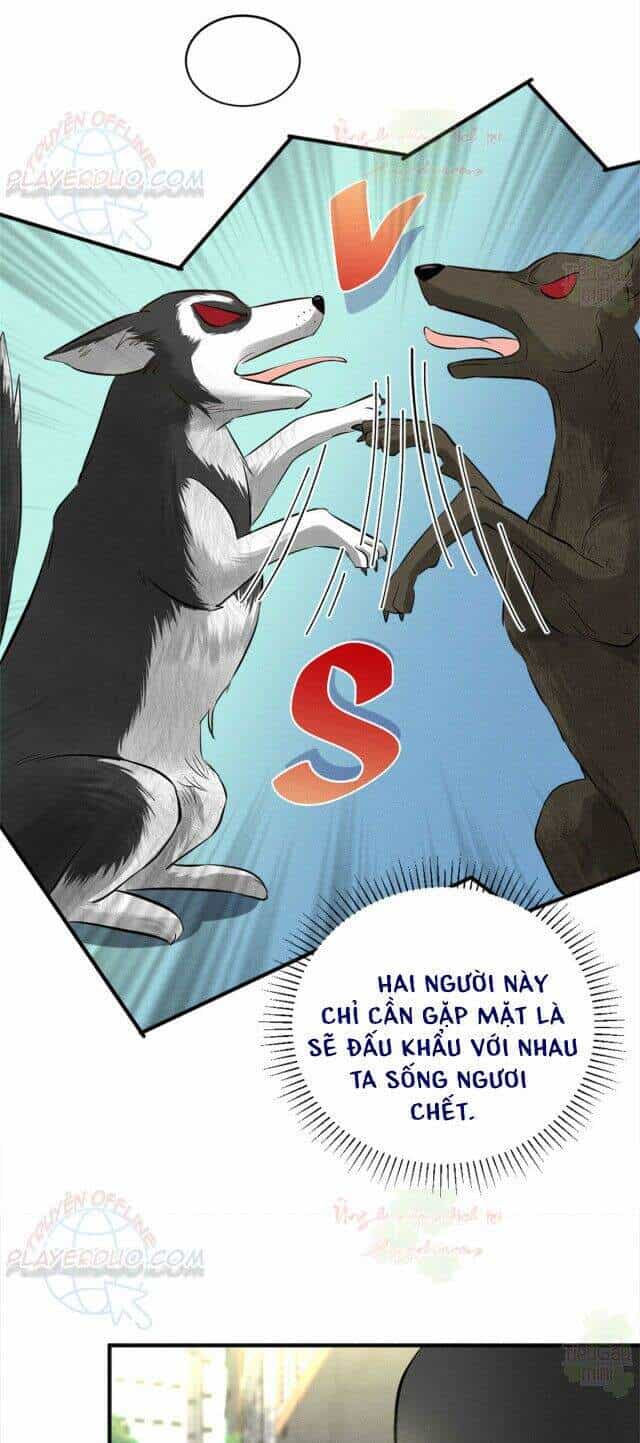 Tôi Trở Thành Tổ Tông Của 5 Vị Đại Lão - Chương 19 - ảnh 23