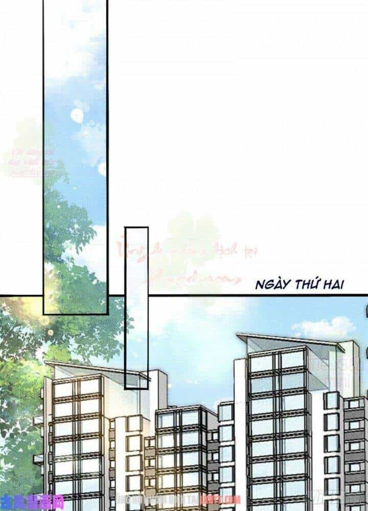 Tôi Trở Thành Tổ Tông Của 5 Vị Đại Lão - Chương 3 - ảnh 52