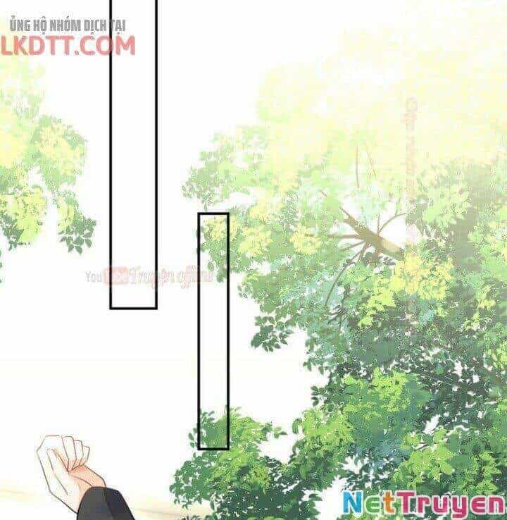 Tôi Trở Thành Tổ Tông Của 5 Vị Đại Lão - Chương 35 - ảnh 22