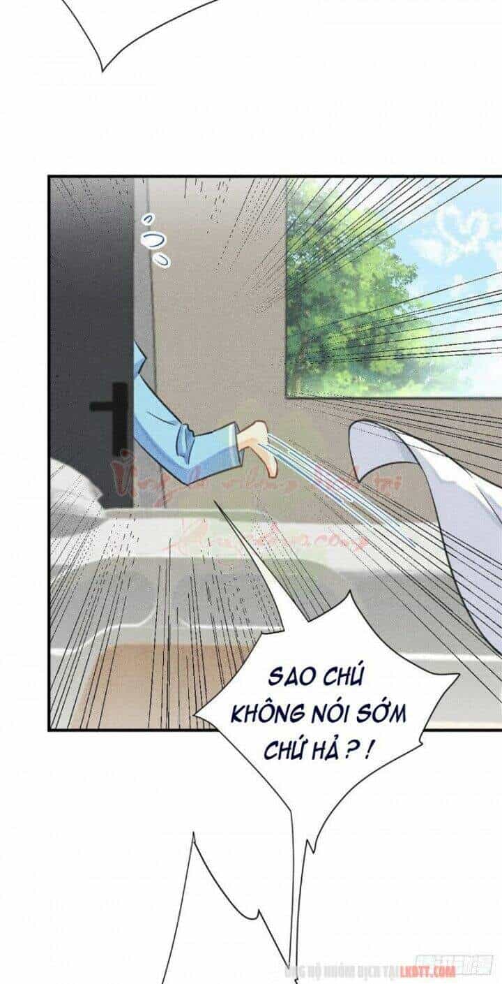 Tôi Trở Thành Tổ Tông Của 5 Vị Đại Lão - Chương 4 - ảnh 51