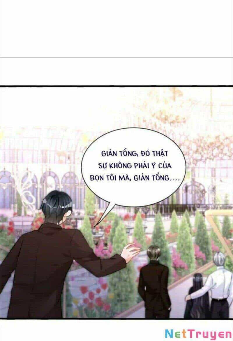 Tôi Trở Thành Tổ Tông Của 5 Vị Đại Lão - Chương 41 - ảnh 26