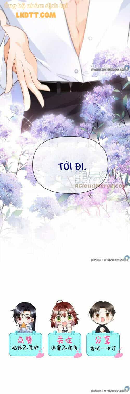 Tôi Trở Thành Tổ Tông Của 5 Vị Đại Lão - Chương 57 - ảnh 21