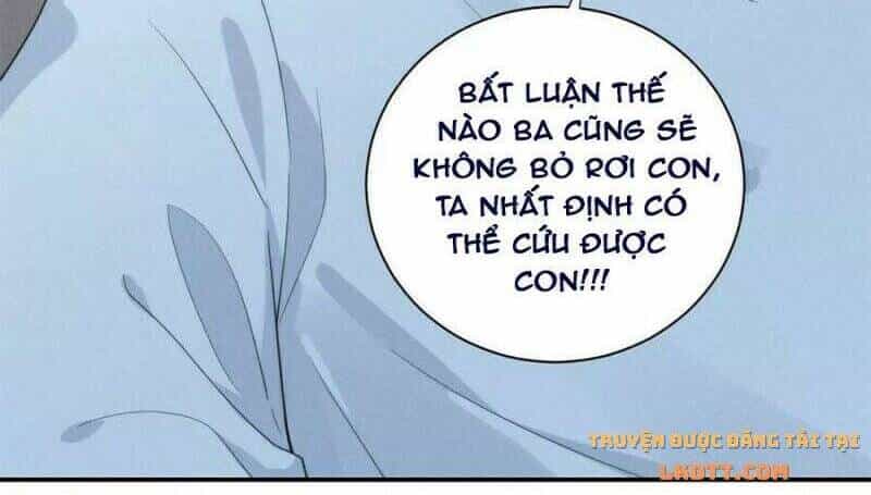 Tôi Trở Thành Tổ Tông Của 5 Vị Đại Lão - Chương 68 - ảnh 26