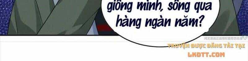 Tôi Trở Thành Tổ Tông Của 5 Vị Đại Lão - Chương 70 - ảnh 21