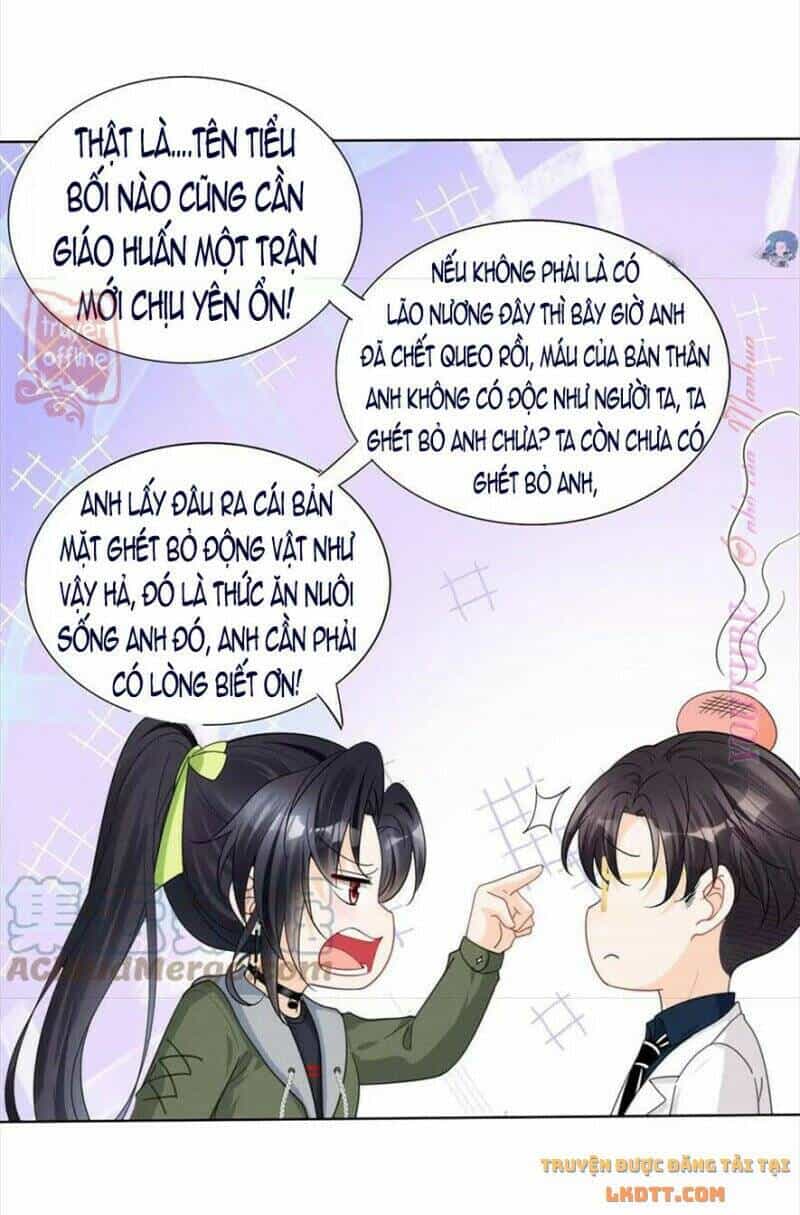 Tôi Trở Thành Tổ Tông Của 5 Vị Đại Lão - Chương 75 - ảnh 25