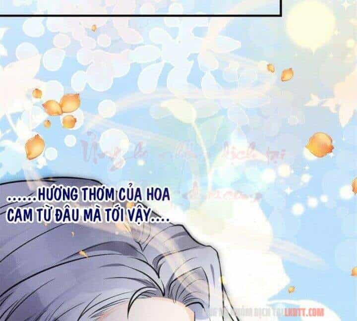 Tôi Trở Thành Tổ Tông Của 5 Vị Đại Lão - Chương 8 - ảnh 66