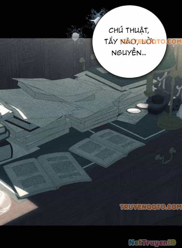 Tôi Tưởng Đó Chỉ Là Tiểu Thuyết Trọng Sinh Bình Thường - Chương 85 - ảnh 18